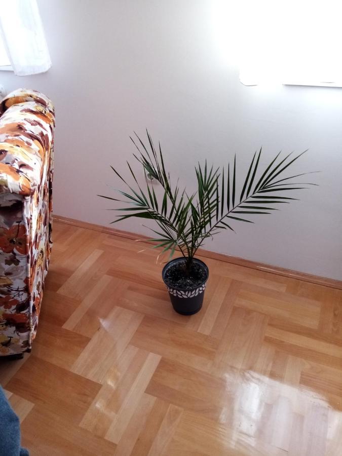 Apartman Maca Pirot Exterior foto